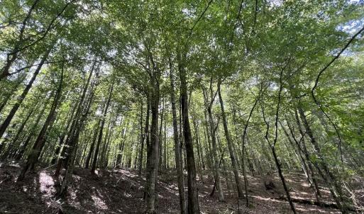 Photo #22 of SOLD property in 1055 Barker Road , Oxford, NC 13.2 acres