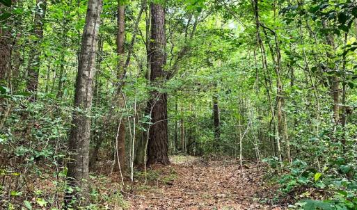 Photo #9 of Off Newville Road, Waverly, VA 150.0 acres