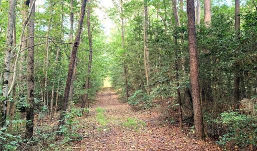 Photo #11 of Off Newville Road, Waverly, VA 150.0 acres