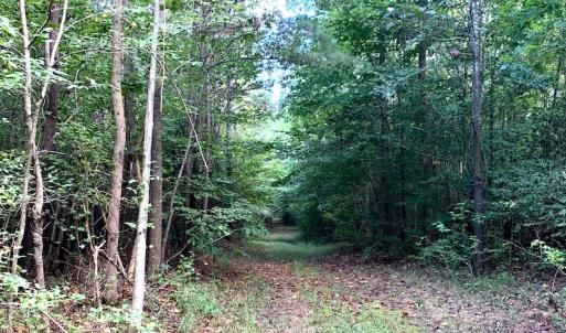 Photo #13 of Off Newville Road, Waverly, VA 150.0 acres