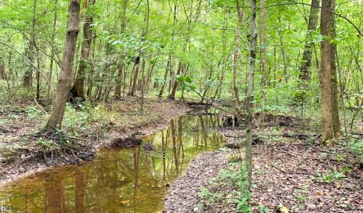 Photo #22 of SOLD property in Off Newville Road, Waverly, VA 150.0 acres