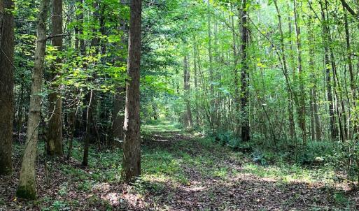 Photo #7 of Off Newville Road, Waverly, VA 150.0 acres