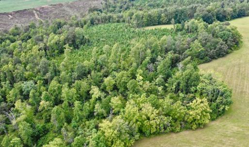 Photo #14 of SOLD property in Off Colonial Turnpike, Rocky Mount, VA 96.1 acres