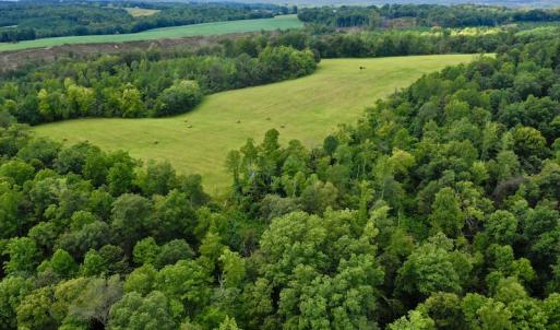 Photo #18 of SOLD property in Off Colonial Turnpike, Rocky Mount, VA 96.1 acres