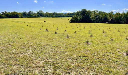 Photo #25 of SOLD property in Off Colonial Turnpike, Rocky Mount, VA 96.1 acres