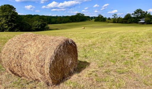 Photo #29 of SOLD property in Off Colonial Turnpike, Rocky Mount, VA 96.1 acres