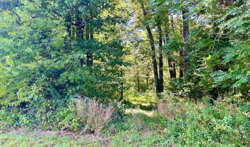 Photo #30 of SOLD property in Off Colonial Turnpike, Rocky Mount, VA 96.1 acres