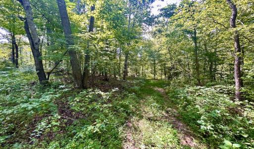 Photo #31 of SOLD property in Off Colonial Turnpike, Rocky Mount, VA 96.1 acres