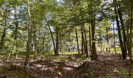 Photo #32 of SOLD property in Off Colonial Turnpike, Rocky Mount, VA 96.1 acres