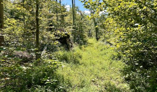 Photo #33 of SOLD property in Off Colonial Turnpike, Rocky Mount, VA 96.1 acres
