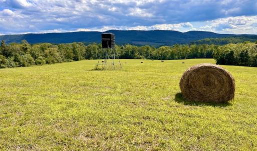 Photo #37 of SOLD property in Off Colonial Turnpike, Rocky Mount, VA 96.1 acres