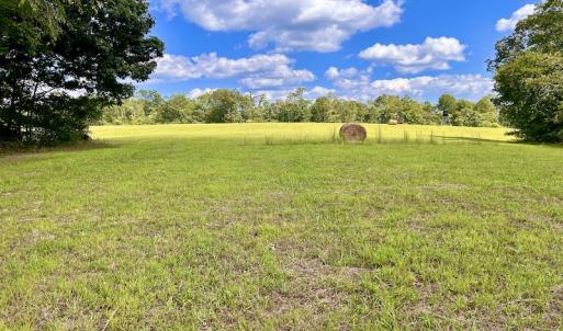 Photo #38 of SOLD property in Off Colonial Turnpike, Rocky Mount, VA 96.1 acres