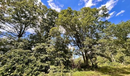 Photo #39 of SOLD property in Off Colonial Turnpike, Rocky Mount, VA 96.1 acres