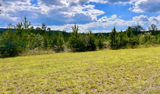 Photo #40 of SOLD property in Off Colonial Turnpike, Rocky Mount, VA 96.1 acres