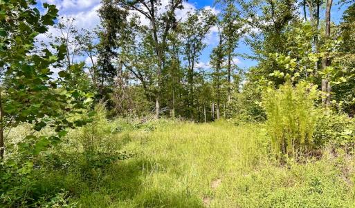 Photo #41 of SOLD property in Off Colonial Turnpike, Rocky Mount, VA 96.1 acres