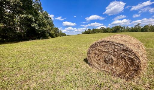 Photo #43 of SOLD property in Off Colonial Turnpike, Rocky Mount, VA 96.1 acres