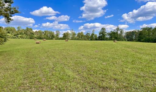 Photo #46 of SOLD property in Off Colonial Turnpike, Rocky Mount, VA 96.1 acres