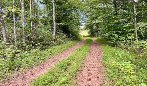 Photo #48 of SOLD property in Off Colonial Turnpike, Rocky Mount, VA 96.1 acres