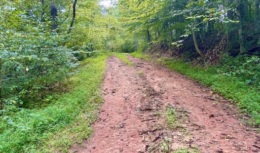 Photo #53 of SOLD property in Off Colonial Turnpike, Rocky Mount, VA 96.1 acres
