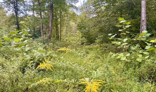 Photo #54 of SOLD property in Off Colonial Turnpike, Rocky Mount, VA 96.1 acres