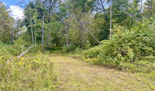 Photo #55 of SOLD property in Off Colonial Turnpike, Rocky Mount, VA 96.1 acres