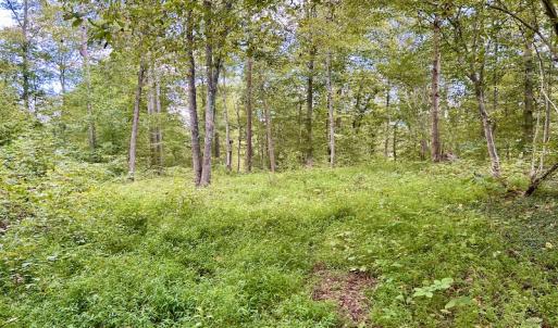 Photo #56 of SOLD property in Off Colonial Turnpike, Rocky Mount, VA 96.1 acres