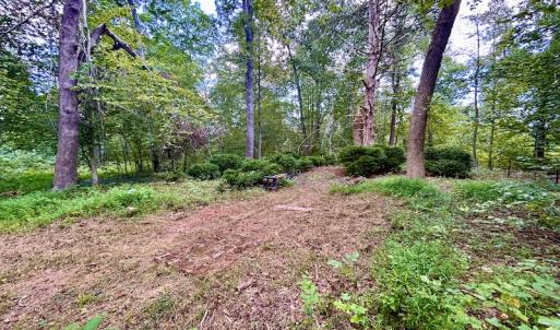 Photo #57 of SOLD property in Off Colonial Turnpike, Rocky Mount, VA 96.1 acres