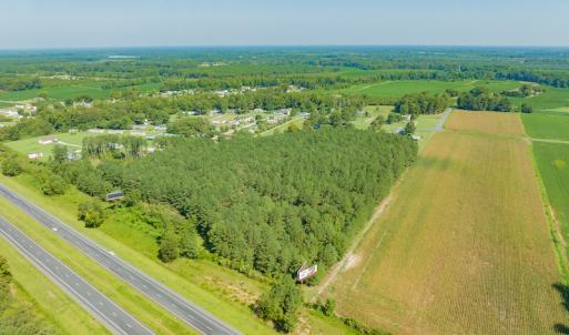 Photo #11 of SOLD property in Off Strickland Road , Walstonburg, NC 5.9 acres