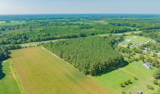 Photo #13 of SOLD property in Off Strickland Road , Walstonburg, NC 5.9 acres