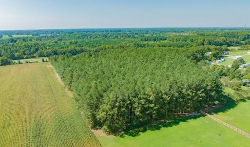 Photo #14 of SOLD property in Off Strickland Road , Walstonburg, NC 5.9 acres