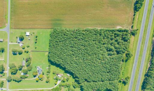 Photo #17 of SOLD property in Off Strickland Road , Walstonburg, NC 5.9 acres