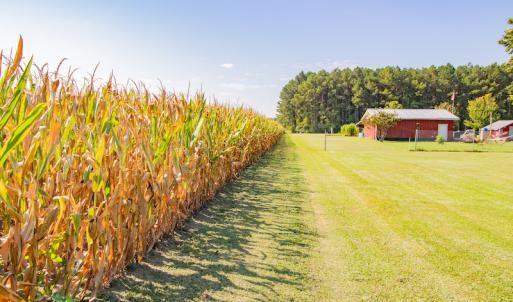 Photo #20 of SOLD property in Off Strickland Road , Walstonburg, NC 5.9 acres