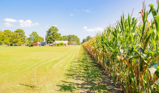 Photo #21 of SOLD property in Off Strickland Road , Walstonburg, NC 5.9 acres