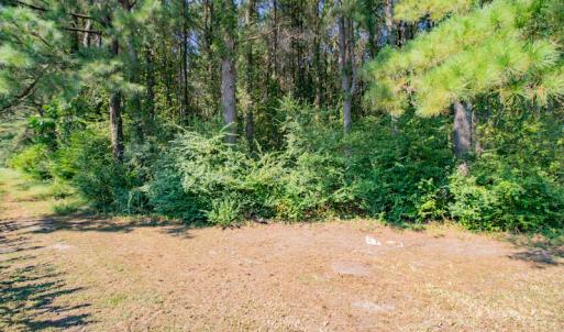 Photo #23 of SOLD property in Off Strickland Road , Walstonburg, NC 5.9 acres