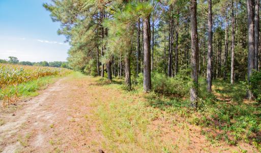 Photo #29 of SOLD property in Off Strickland Road , Walstonburg, NC 5.9 acres