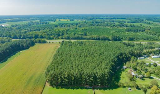 Photo #4 of SOLD property in Off Strickland Road , Walstonburg, NC 5.9 acres