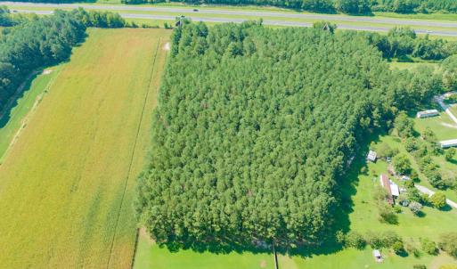 Photo #5 of SOLD property in Off Strickland Road , Walstonburg, NC 5.9 acres
