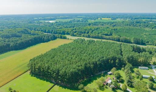 Photo #6 of SOLD property in Off Strickland Road , Walstonburg, NC 5.9 acres