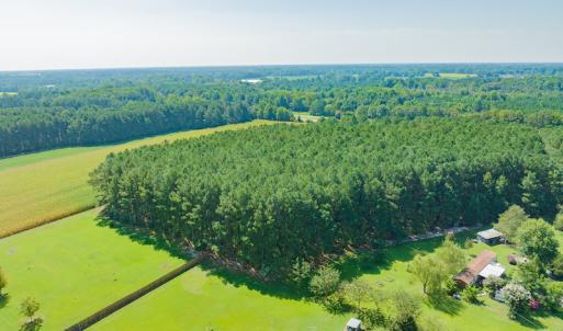 Photo #7 of SOLD property in Off Strickland Road , Walstonburg, NC 5.9 acres