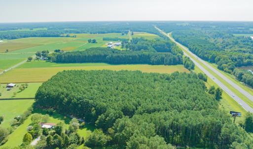 Photo #8 of SOLD property in Off Strickland Road , Walstonburg, NC 5.9 acres