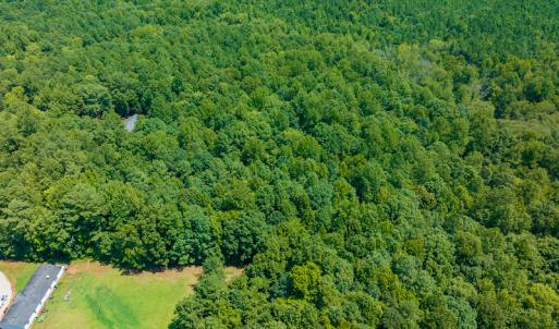 Photo #8 of Off Indian Drive, Norlina, NC 3.1 acres