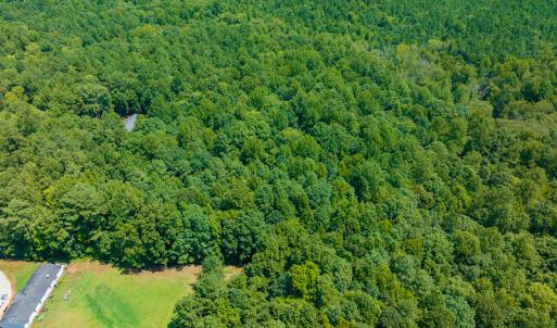Photo #8 of SOLD property in Off Indian Drive, Norlina, NC 3.1 acres