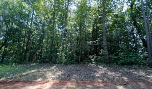 Photo #9 of SOLD property in Off Indian Drive, Norlina, NC 3.1 acres