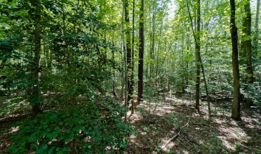 Photo #20 of Off Indian Drive, Norlina, NC 3.1 acres