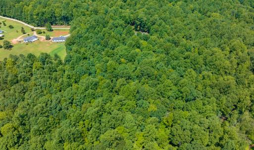 Photo #27 of SOLD property in Off Indian Drive, Norlina, NC 3.1 acres
