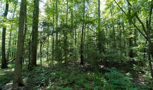 Photo #29 of SOLD property in Off Indian Drive, Norlina, NC 3.1 acres