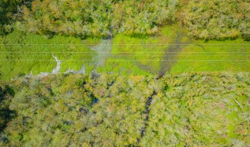 Photo #11 of Off Buck Swamp Road, Pikeville, NC 30.5 acres