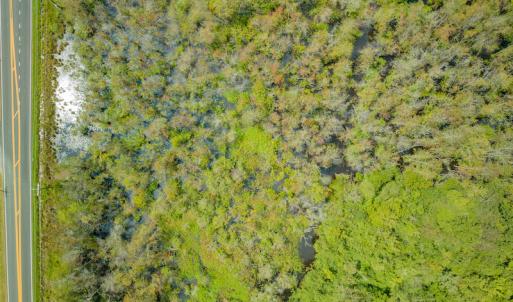 Photo #14 of Off Buck Swamp Road, Pikeville, NC 30.5 acres