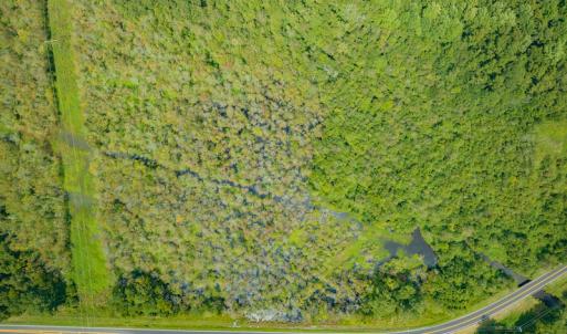 Photo #16 of Off Buck Swamp Road, Pikeville, NC 30.5 acres