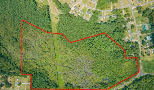 Photo #3 of Off Buck Swamp Road, Pikeville, NC 30.5 acres